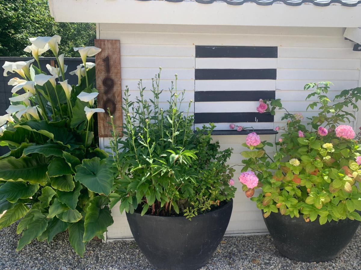 Cottage Le Cerf-Volant Saint-Aubin-Sur-Mer (Calvados) Exterior foto